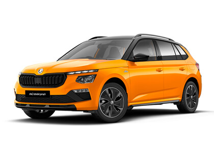 Ворсовые коврики на Skoda Kamiq (Европа) 2019&nbsp;-&nbsp;2026 в Набережных Челнах