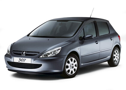 Ворсовые коврики на Peugeot 307 2001 - 2008 в Набережных Челнах
