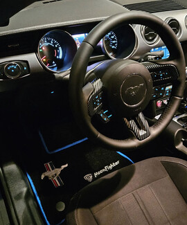 Коврики на Ford Mustang VI 2013 - 2023 в Набережных Челнах Коврики на Ford Mustang VI 2013 - 2023 в Набережных Челнах